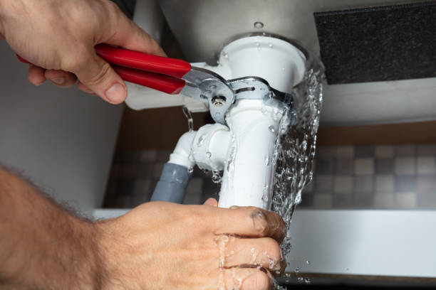 Best Flooded house restoration  in Loma, CO