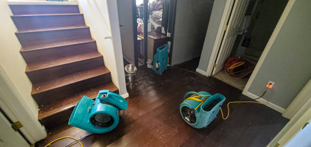 Best Local water damage restoration  in Loma, CO