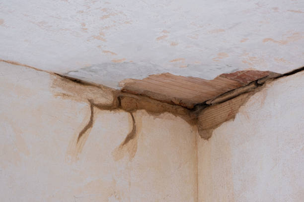 Best Ceiling water damage repair  in Loma, CO