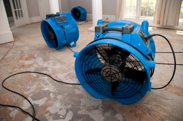 Best Water damage contractors near me  in Loma, CO