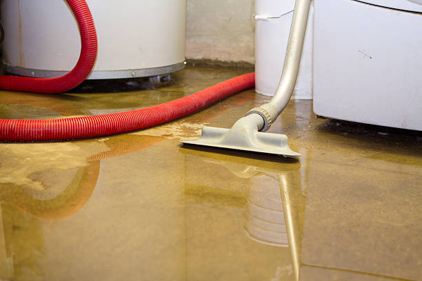 Best Flood restoration services  in Loma, CO